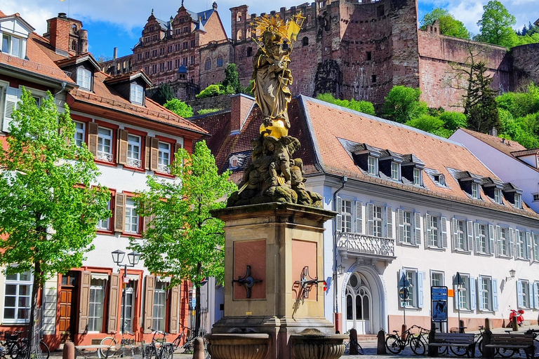 High Lights of Heidelberg - Private Tour of Castle and Town Heidelberg: All Inclusive Private Tour - Castle and Old Town