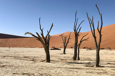 Windhoek: Namibia 12-Day Self-Drive Tour with Lodging