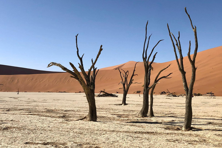 Windhoek: Namibia 12-Day Self-Drive Tour with Lodging