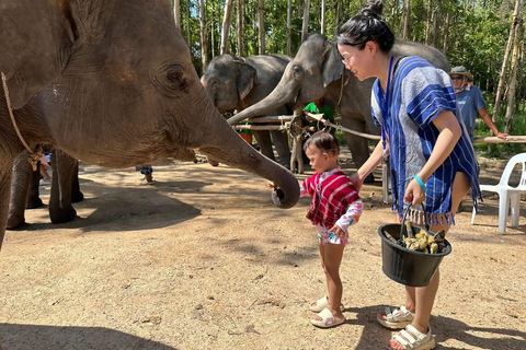 Phuket: Elephant Sanctuary Visit with Mud Spa & Workshop Afternoon: Elephant Sanctuary Visit with Mud Spa & Workshop