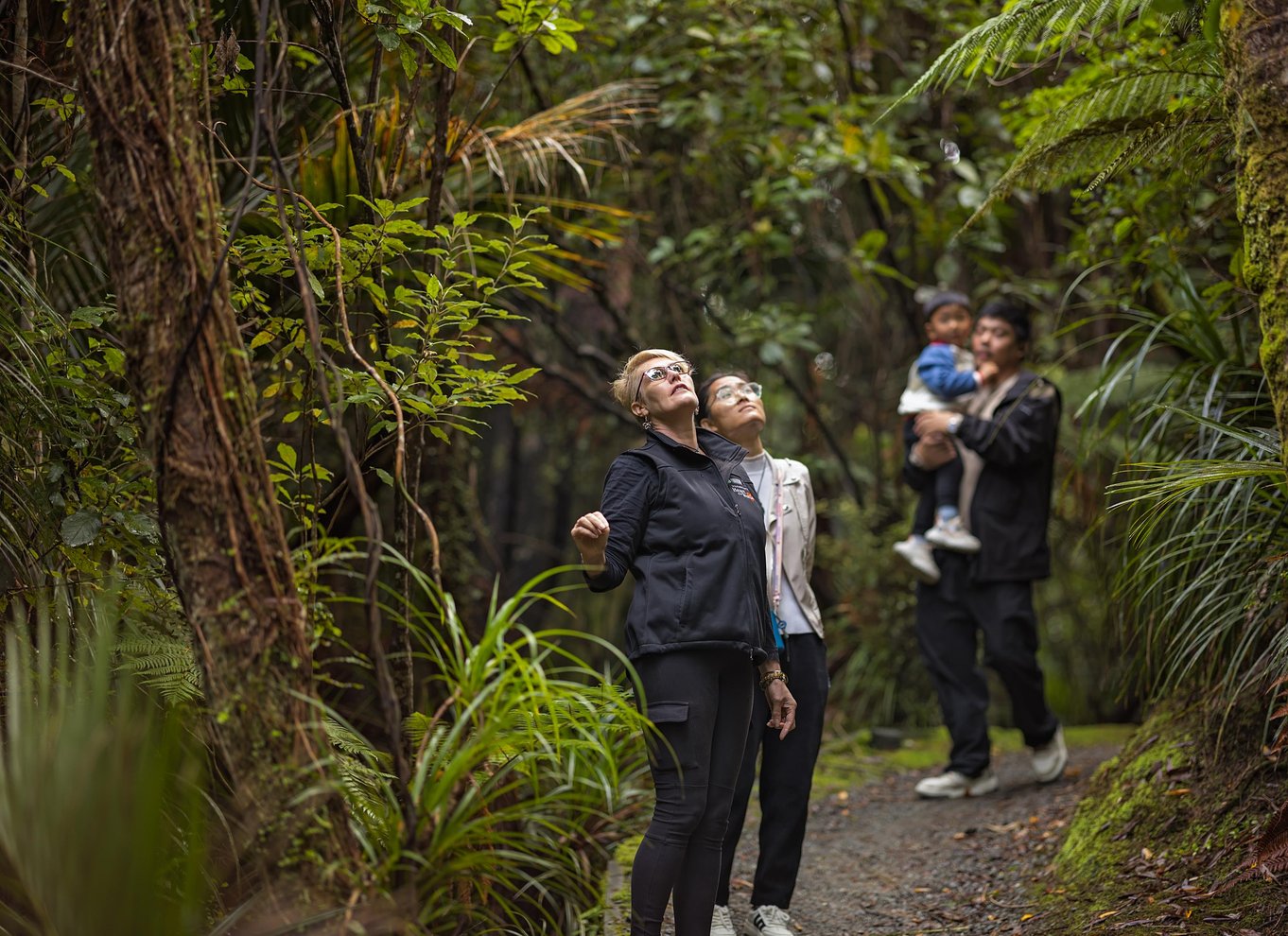 Fra Greymouth: Tur til Punakaiki Blowholes og Pancake Rocks