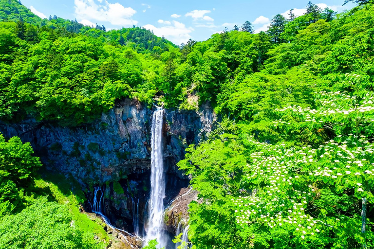 From Tokyo: Nikko Toshogu Shrine and Lake Chuzenji Day Trip Private Sightseeing Tours