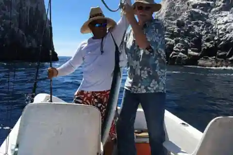 Tour de la baie : Tour en bateau privé avec plongée en apnée et pêche
