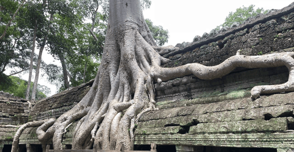 Angkor Wat Day Trip with German-Speaking Guide