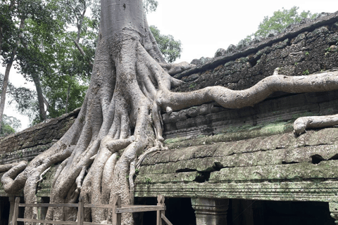 Siem Reap: Angkor Wat Day Trip with Japanese Live Guide Angkor Temples Small Group Tour – 1 Day (6 people max)