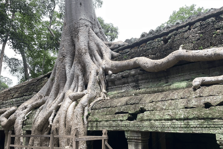 Siem Reap: Angkor Wat Day Trip with Japanese Live Guide Angkor Temples Small Group Tour – 1 Day (6 people max)