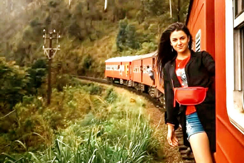 Kandy: Nuwara Eliya, Ambewela Drop Tour & Ella Train journey Kandy: Nuwara Eliya, Ambewela Drop Tour by car or van