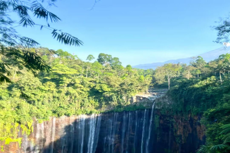 Tumpak Sewu : excursion privée d&#039;une journée depuis Surabaya ou MalangCascade de Tumpak Sewu : excursion privée d&#039;une journée depuis SURABAYA