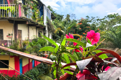 From Huatulco to Pluma Hidalgo: a gastronomic and natural immersion