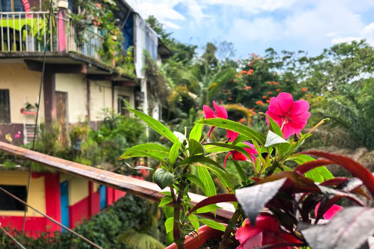 From Huatulco to Pluma Hidalgo: a gastronomic and natural immersion