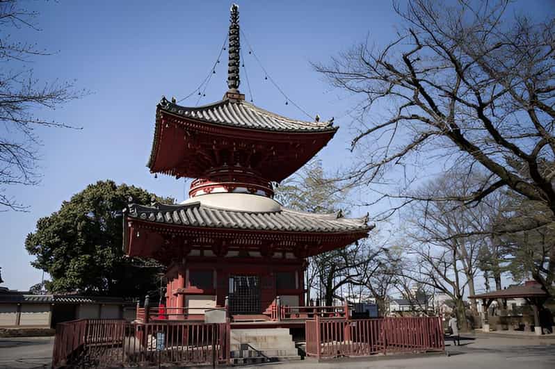 Tokyo: escursione privata di un giorno a Kawagoe con guida autorizzata nazionale