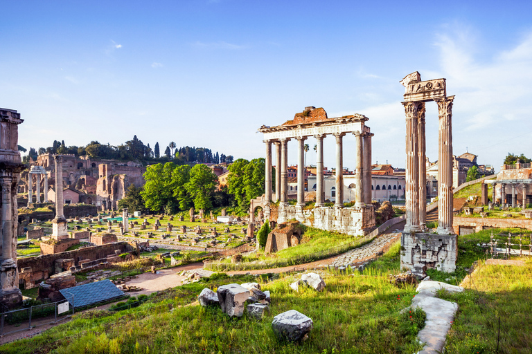 Roma: entrada al monte Palatino y al Foro Romano con vídeo multimedia