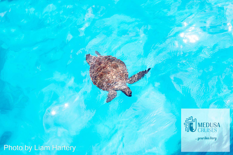 Protaras: Medusa Chill-Out Cruise to Blue Lagoon & Sea Caves