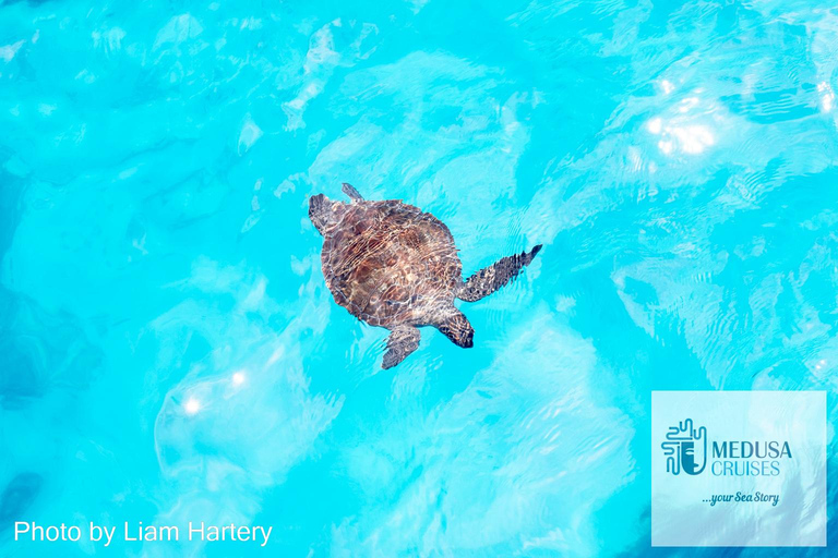 Protaras: Medusa Chill-Out Cruise to Blue Lagoon & Sea Caves