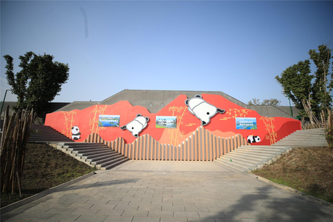 Chengdu: Half-Day Panda Base Tour with Guide Option Panda Base Tickets with Transfer and Tour Guide - Afternoon