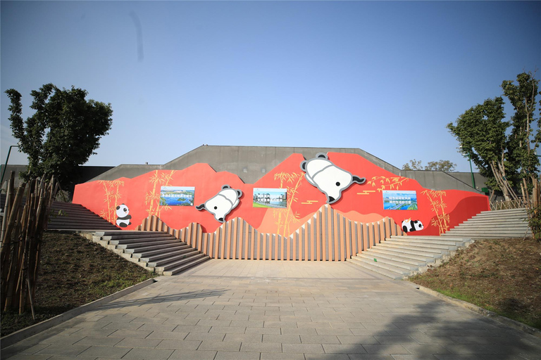 Chengdu: Half-Day Panda Base Tour with Guide Option Panda Base Tickets with Transfer and Tour Guide - Afternoon