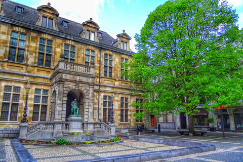 Antwerp: Guided Walking Tour with a Local