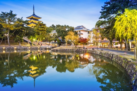 Nara’s Historical Wonders: A Journey Through Time and Nature