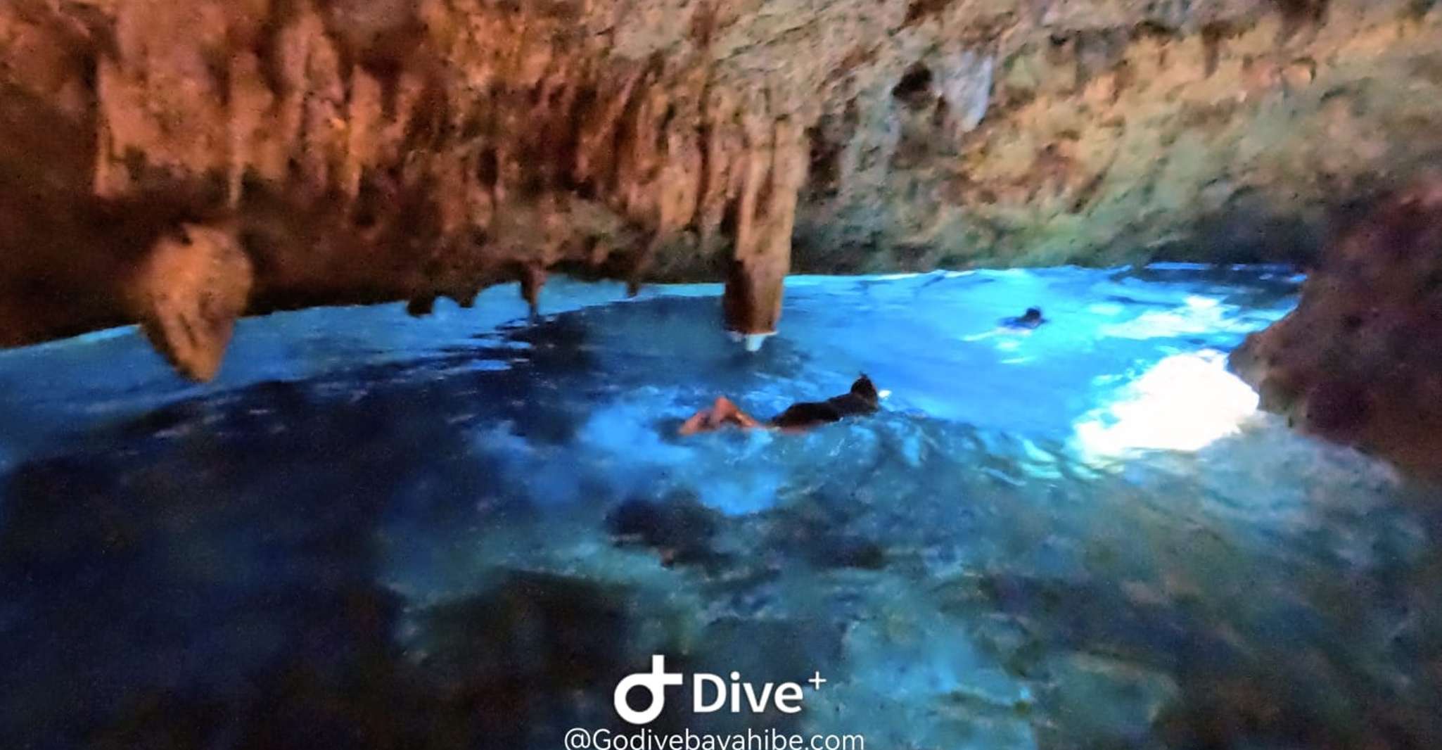 Bayahibe - Cenotes Scuba Diving - Godive Bayahibe - Housity