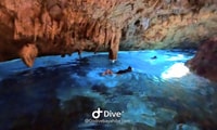 Bayahibe - подводное плавание подводного плавания - Godive Bayahibe - Housity