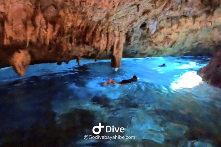 Bayahibe - Plongée sous-marine dans les cénotes - Godive Bayahibe