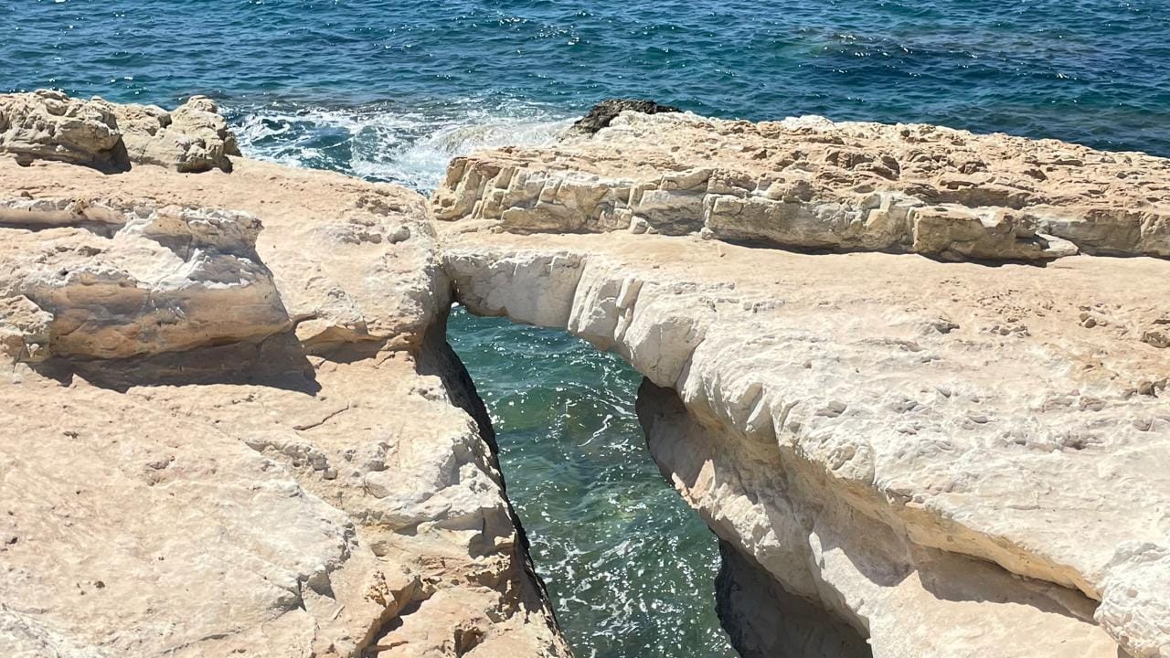 Akamas-Weinerlebnis – All-inclusive – Mindestens 4 Personen