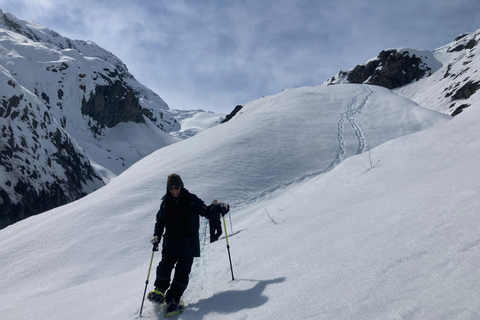 Guided Snowshoeing Adventure from Seward, Alaska 6-Hour Tour