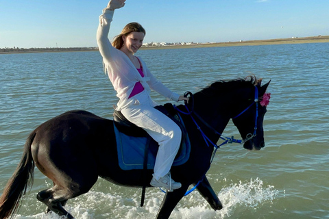 Djerba: Individual Horse Riding in the Blue Lagoon.
