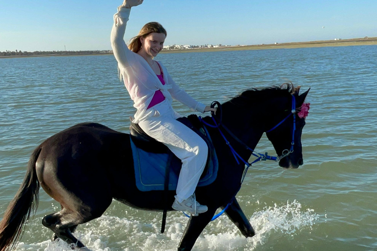 Djerba: Individual Horse Riding in the Blue Lagoon.