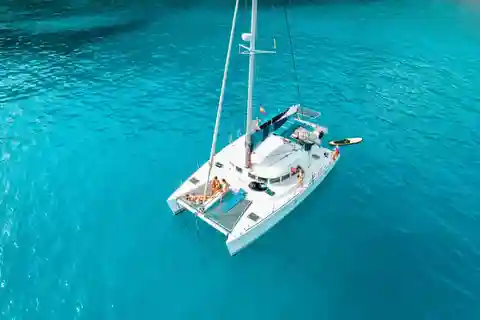 Excursión en grupo de 2 horas por Benalmádena con avistamiento de delfines