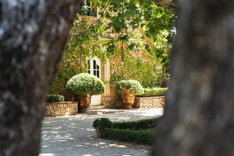 Vinresa till Provence - liten gruppresa från CannesVinresa i Provence