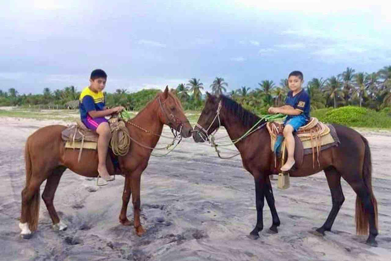 From Huatulco: Beach Horseback Riding Experience Regular Beach Horseback Riding Tour (2 hours)
