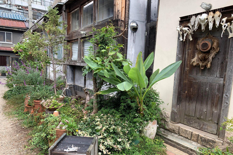 Urban Canvas: Osaka Street Art Bike Tour