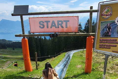 Zurich: Mount Pilatus and Lucerne Private Day Trip