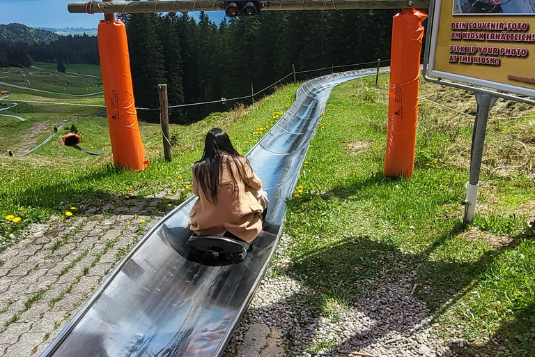 Zurich: Mount Pilatus and Lucerne Private Day Trip