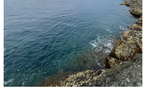 Tour of Genoa and the Ligurian Riviera: From Genoa to Portofino