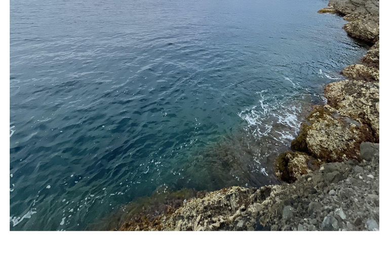 Tour of Genoa and the Ligurian Riviera: From Genoa to Portofino