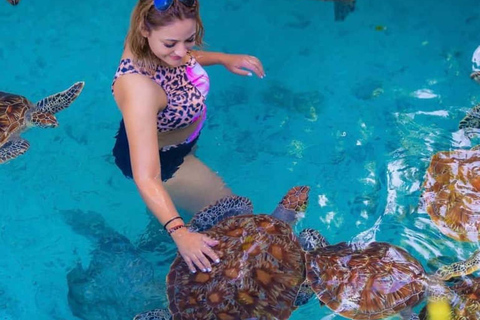 Nungwi: Swim with Sea Turtles at Sanctuary with Transfer Private Tour with Hotel Transfer Anywhere in Zanzibar