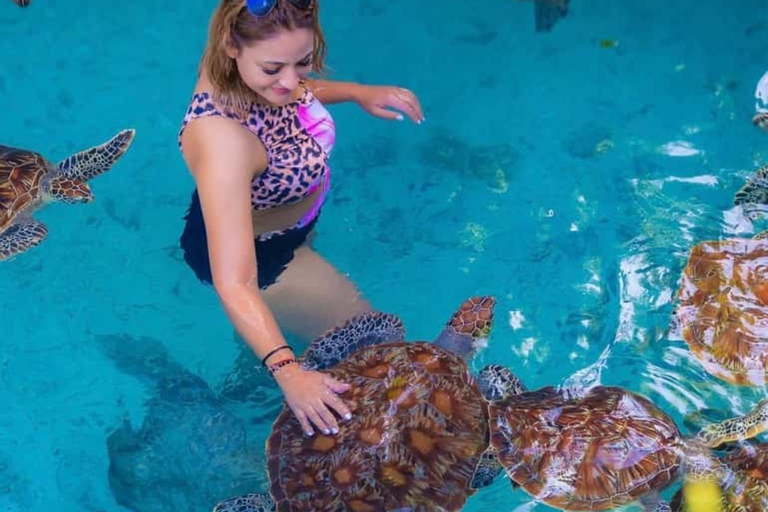Nungwi: Swim with Sea Turtles at Sanctuary with Transfer Private Tour with Hotel Transfer Anywhere in Zanzibar