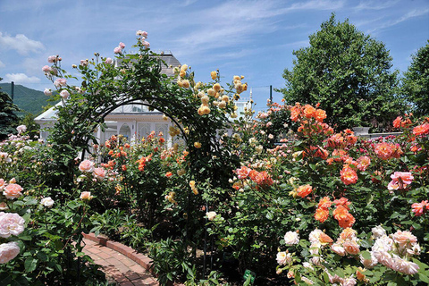 Sapporo: Private Customized Day Tour in Sappro City Private Customized Tour in Sapporo City