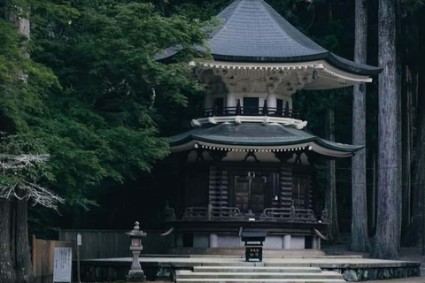Wakayama & Koyasan: Private Tour with Hotel Pickup & Lunch