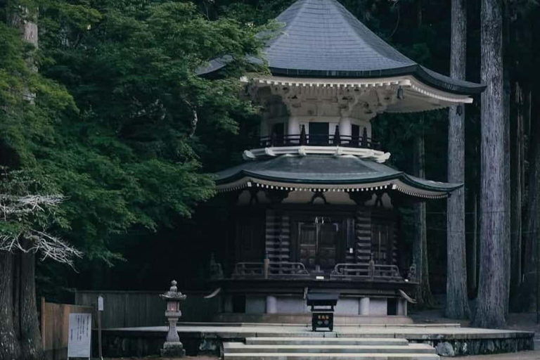 Wakayama & Koyasan: Private Tour with Hotel Pickup & Lunch