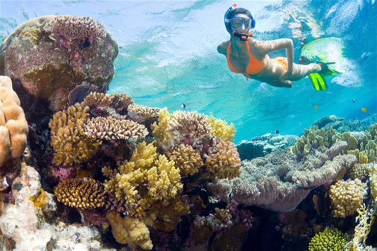 Cham Islands - Explore Islands Snorkelling Or Diving 2 Times Diving 1 Time By Speedboat