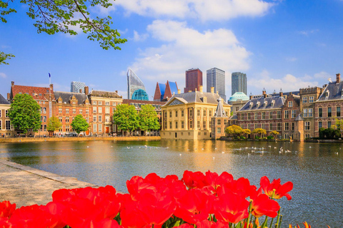 Best of The Hague: Private Walking Tour with a Local Private City Walking Tour - 3Hr