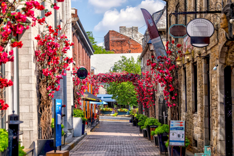 Montreal Top Highlights Private Guided Walking Tour 2-hour: Old Town Highlights Tour