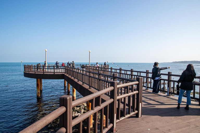 Busan : Compte à rebours du Nouvel An 2026 et visite au lever du soleil à HomigotVisite partagée, rendez-vous à la station Haeundae