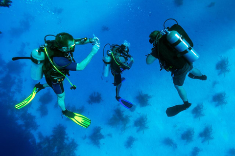 Hurghada: Scuba Diving for Certified Divers & Beginners Boat trip for the Certified Divers with Lunch & Transfer