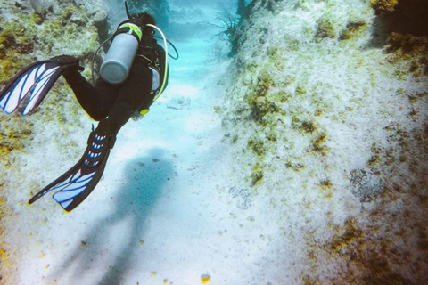 Da Nang/Hoi An: Immersione alle Isole Cham con un istruttoreDa Nang/Hoi An: Immersioni alle isole Cham con un istruttore