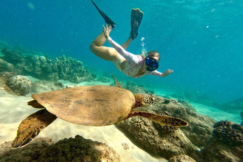 Puerto Rico: Schnorcheln mit Turtles Adventure