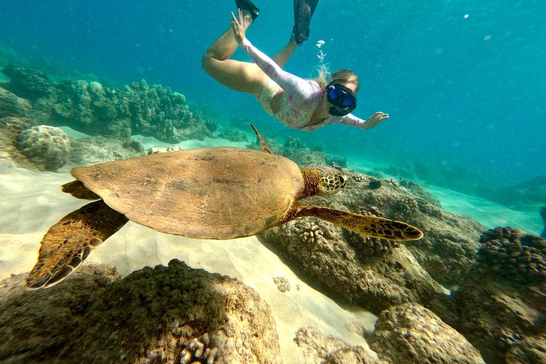 Puerto Rico: Snorkeling with Turtles Adventure